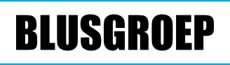 Blusgroep Logo witzwart 1 328x93